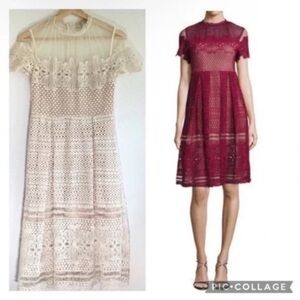 Free Generation Cream Lace and Sheer Dress